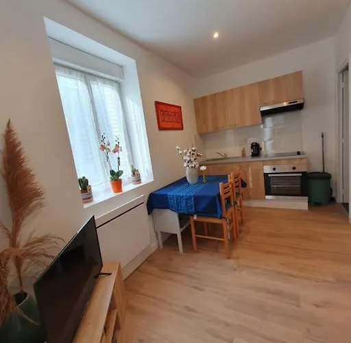 Vigne Apartment Nancy